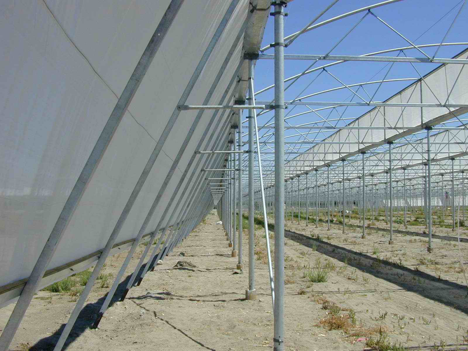 Greenhouse Project 6